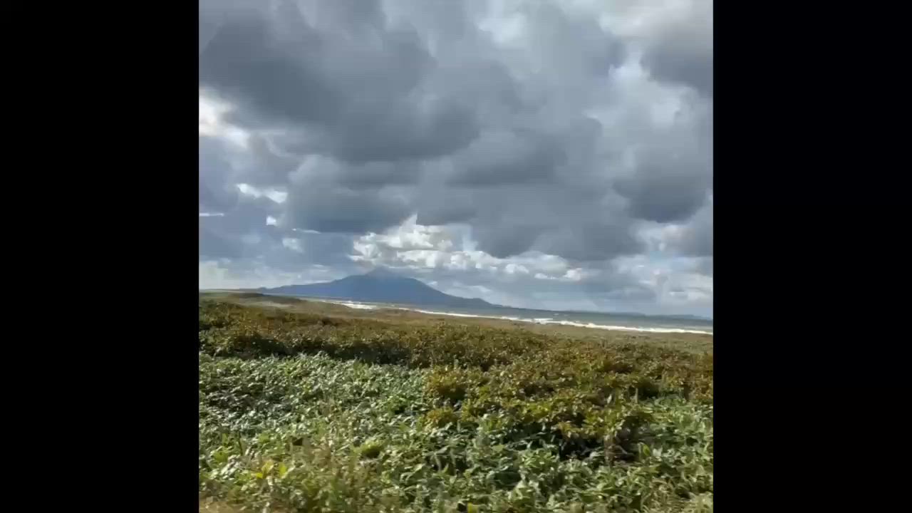 プランアイコン