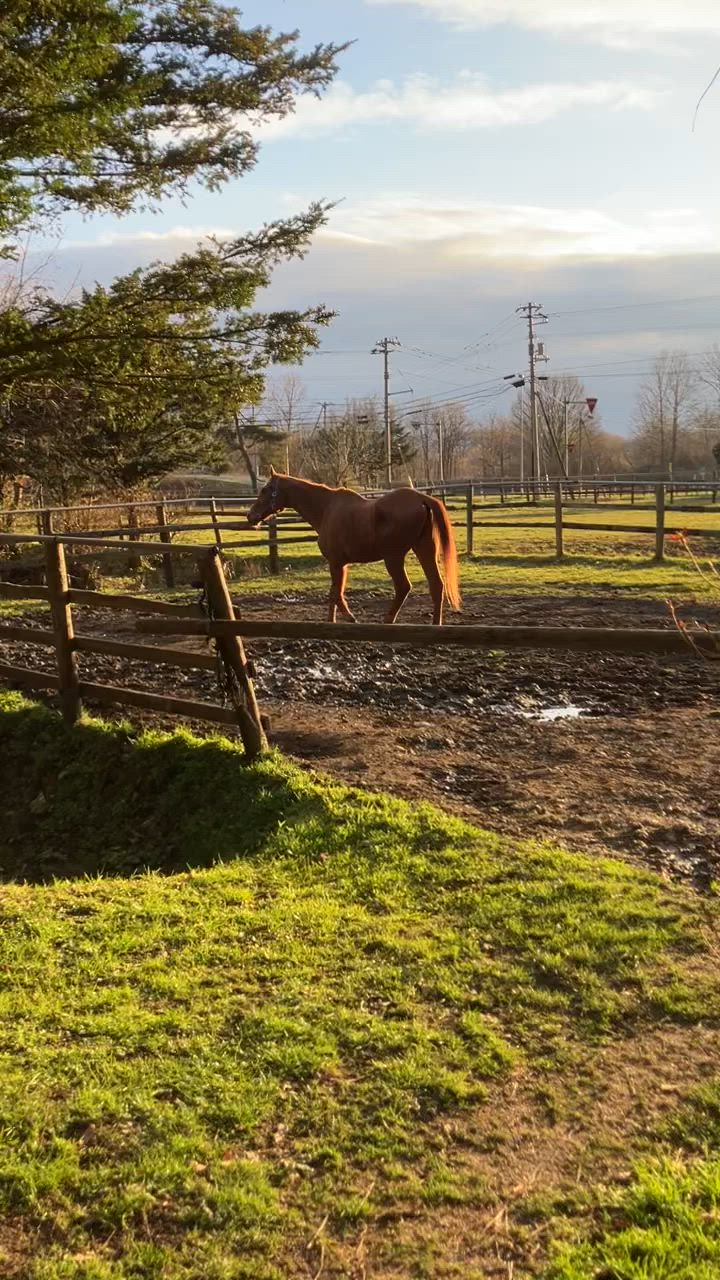 プランアイコン