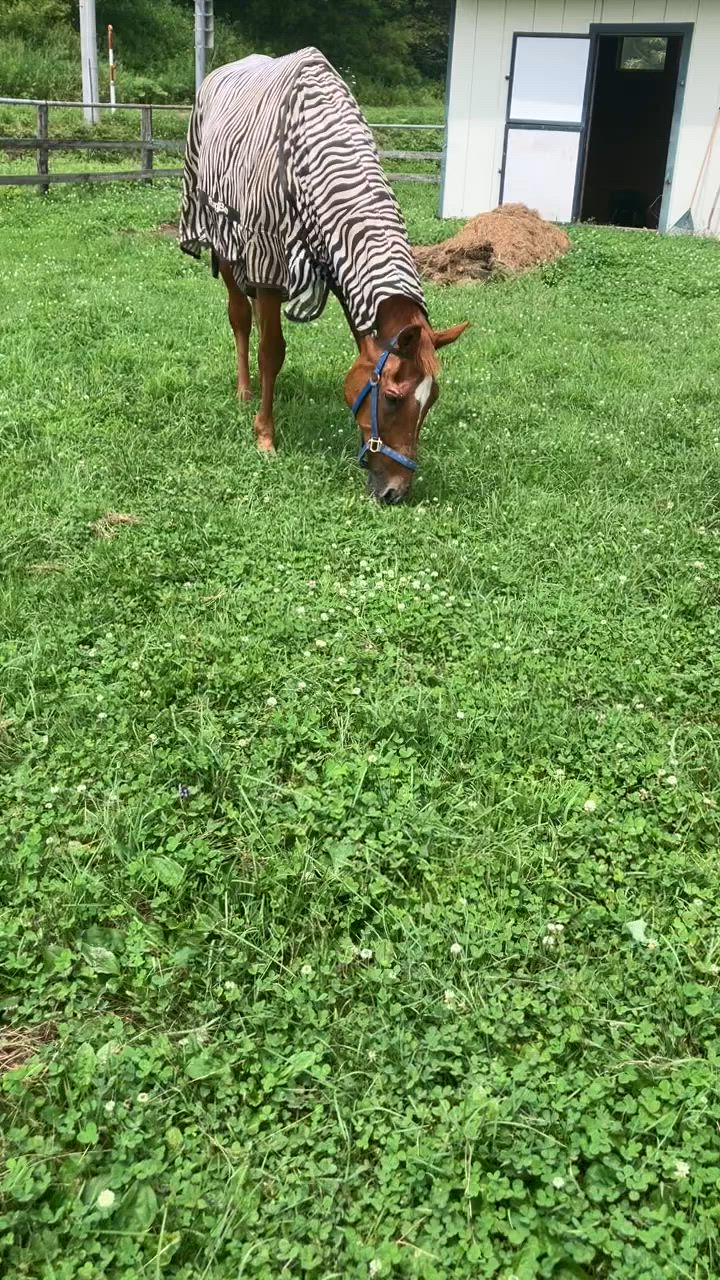 プランアイコン