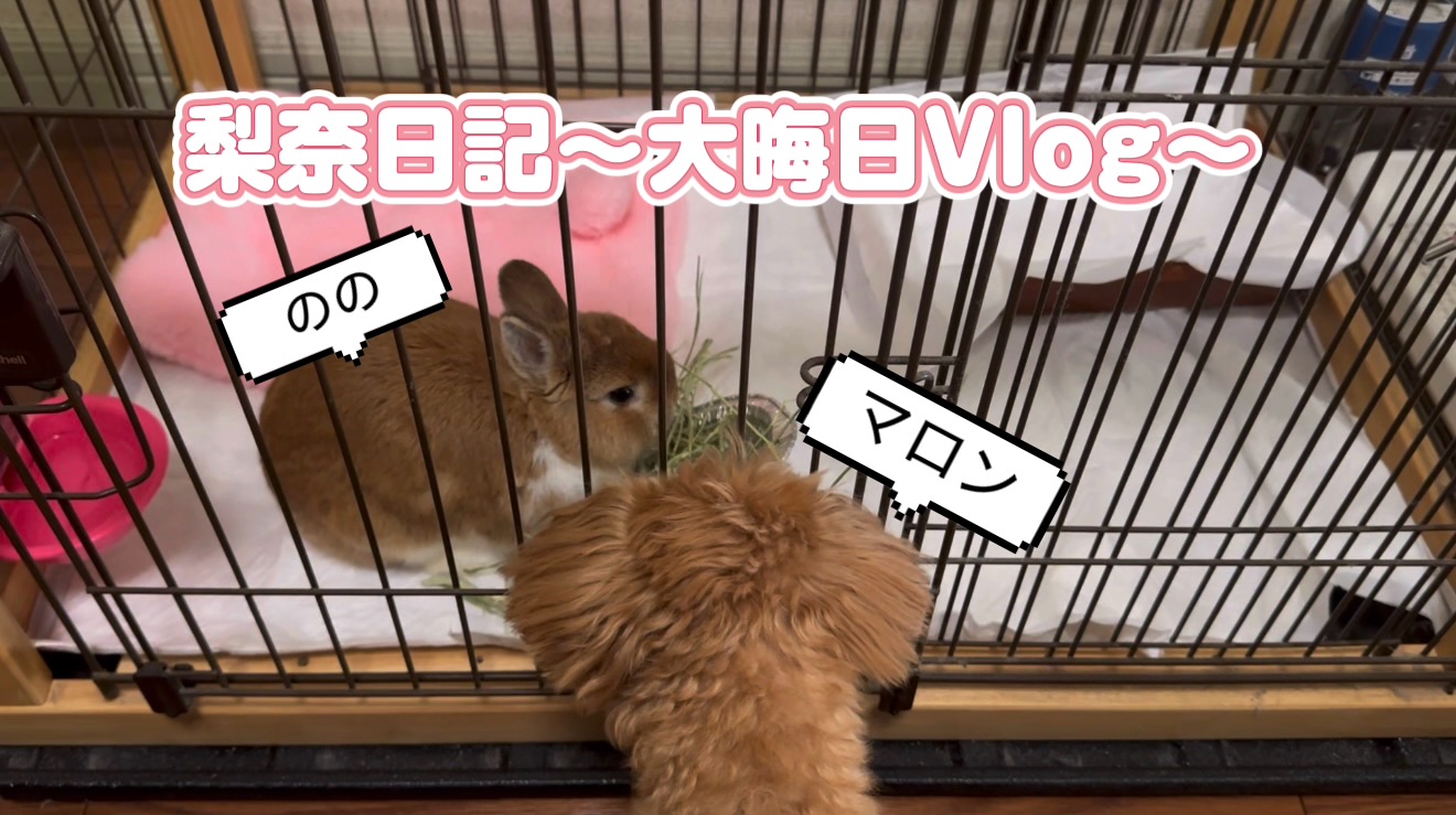 プランアイコン